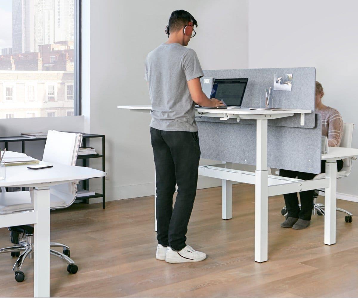 Amli Double Adjustable Standing Desk
