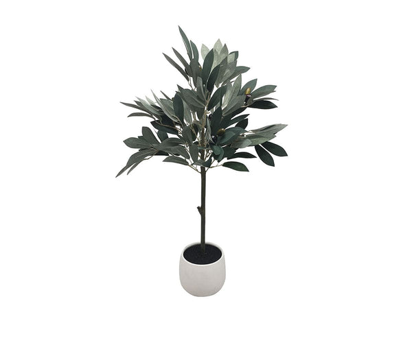 Artificial Olive Tree in White Plant Pot